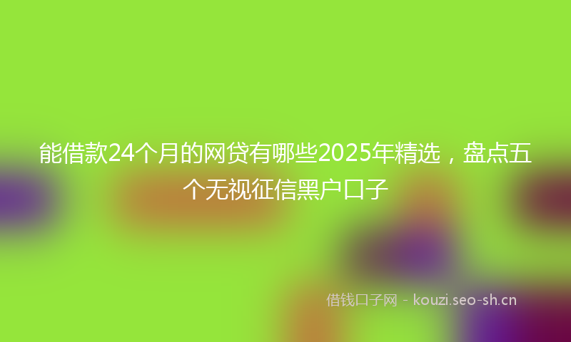 能借款24个月的网贷有哪些2025年精选，盘点五个无视征信黑户口子