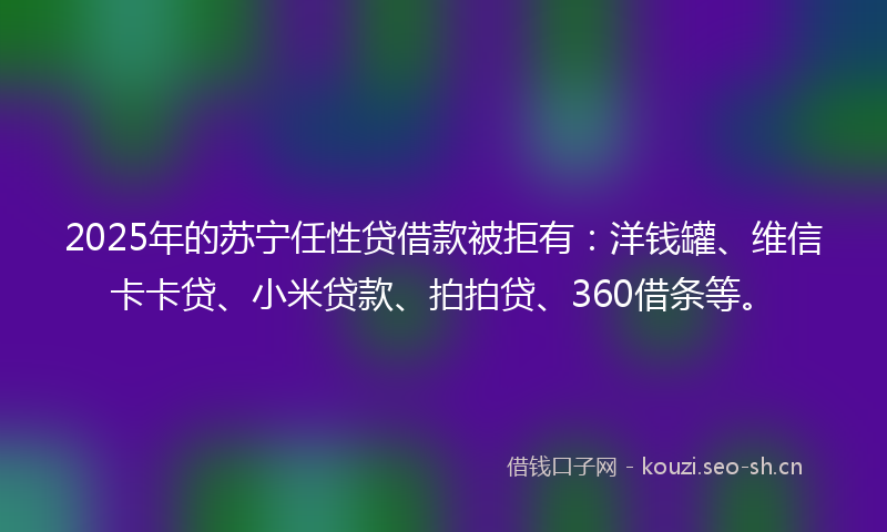 2025年的苏宁任性贷借款被拒有：洋钱罐、维信卡卡贷、小米贷款、拍拍贷、360借条等。