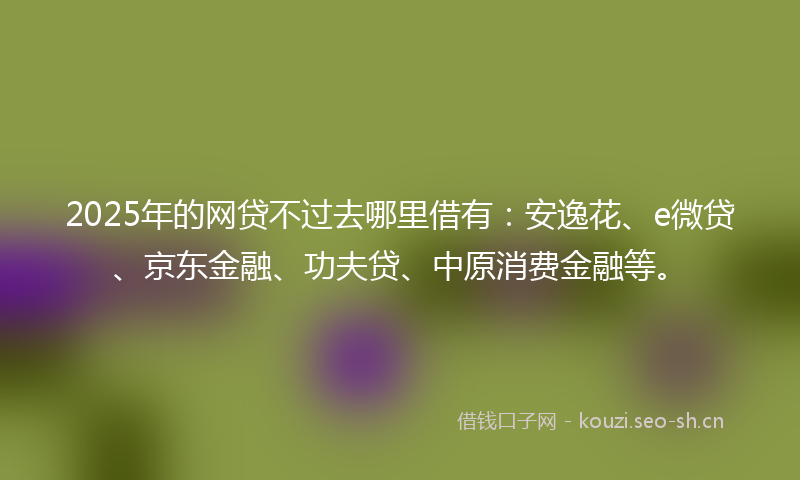 2025年的网贷不过去哪里借有：安逸花、e微贷、京东金融、功夫贷、中原消费金融等。