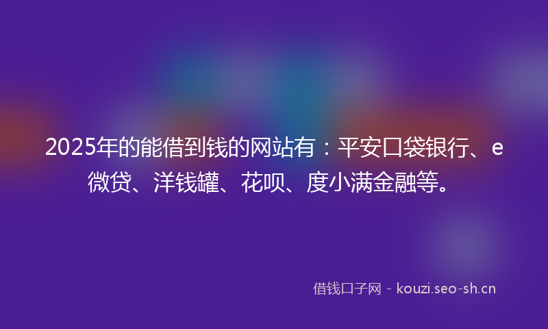 2025年的能借到钱的网站有：平安口袋银行、e微贷、洋钱罐、花呗、度小满金融等。