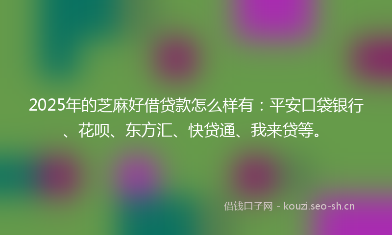 2025年的芝麻好借贷款怎么样有：平安口袋银行、花呗、东方汇、快贷通、我来贷等。
