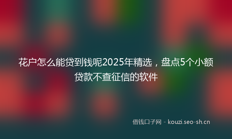 花户怎么能贷到钱呢2025年精选，盘点5个小额贷款不查征信的软件