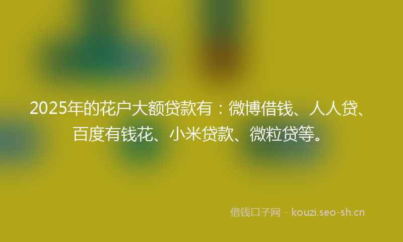 2025年的花户大额贷款有：微博借钱、人人贷、百度有钱花、小米贷款、微粒贷等。