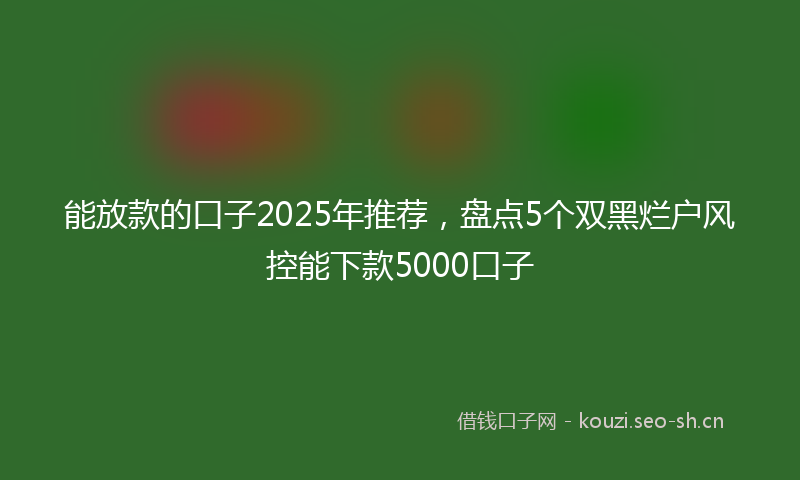 能放款的口子2025年推荐，盘点5个双黑烂户风控能下款5000口子