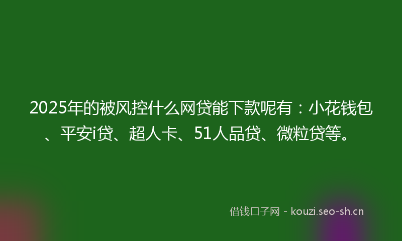 2025年的被风控什么网贷能下款呢有：小花钱包、平安i贷、超人卡、51人品贷、微粒贷等。