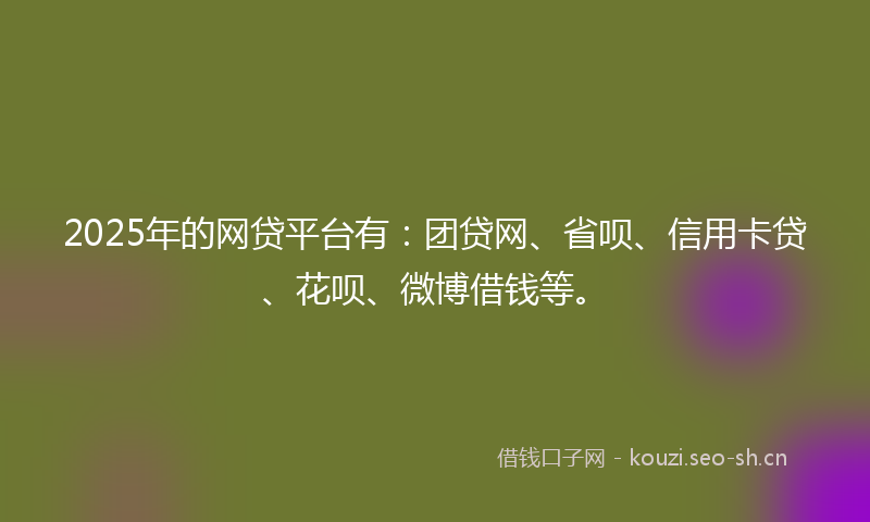 2025年的网贷平台有：团贷网、省呗、信用卡贷、花呗、微博借钱等。
