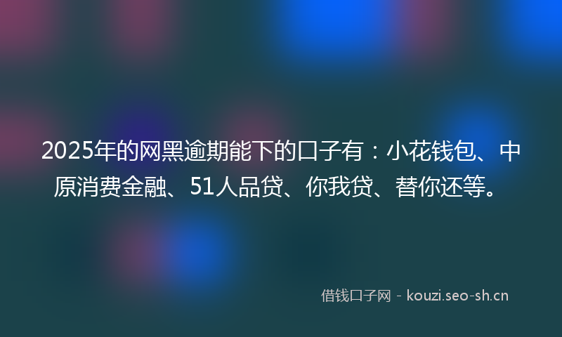 2025年的网黑逾期能下的口子有：小花钱包、中原消费金融、51人品贷、你我贷、替你还等。