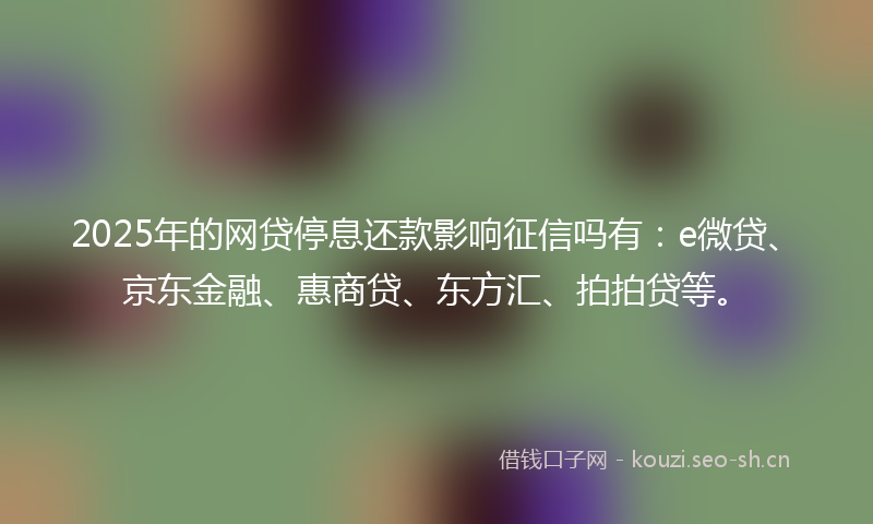 2025年的网贷停息还款影响征信吗有：e微贷、京东金融、惠商贷、东方汇、拍拍贷等。