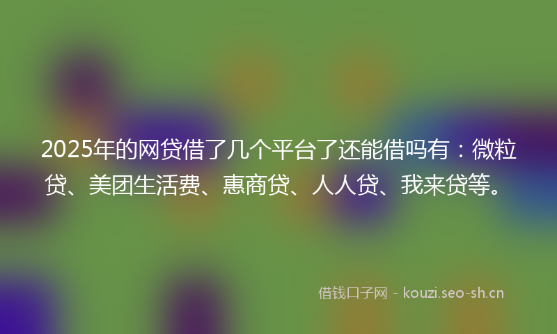 2025年的网贷借了几个平台了还能借吗有：微粒贷、美团生活费、惠商贷、人人贷、我来贷等。