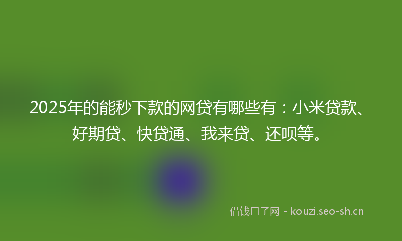 2025年的能秒下款的网贷有哪些有：小米贷款、好期贷、快贷通、我来贷、还呗等。