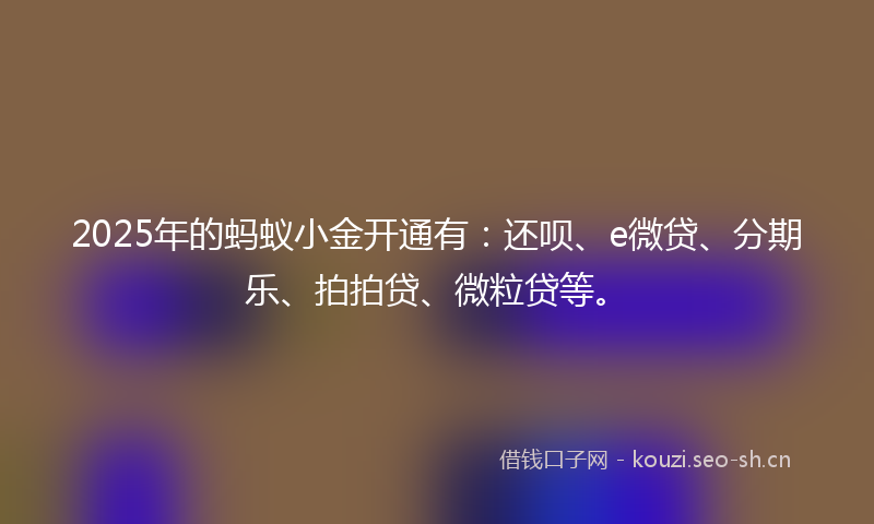 2025年的蚂蚁小金开通有：还呗、e微贷、分期乐、拍拍贷、微粒贷等。