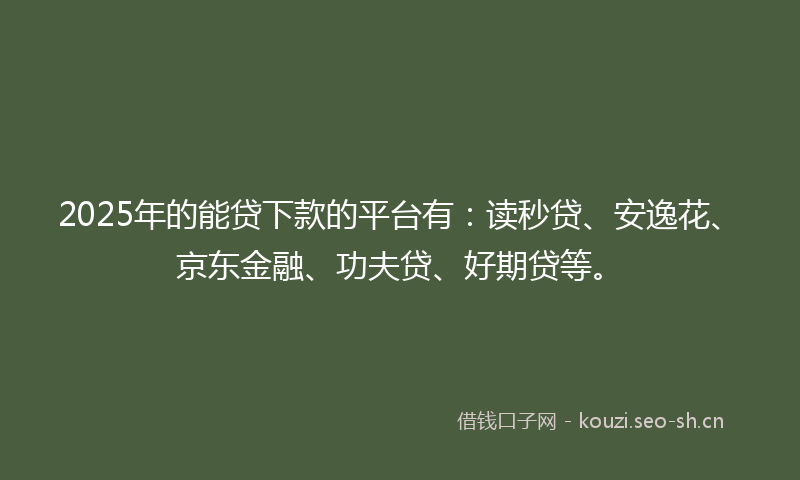 2025年的能贷下款的平台有：读秒贷、安逸花、京东金融、功夫贷、好期贷等。