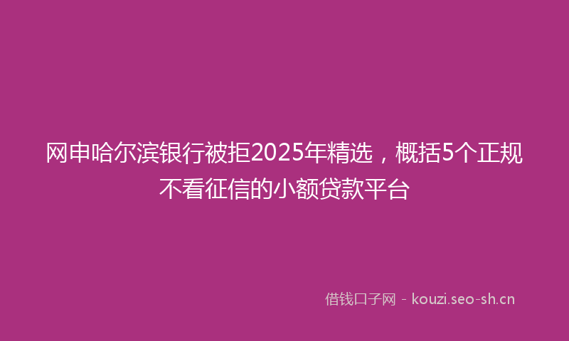 网申哈尔滨银行被拒2025年精选,概括5个正规不看征信的小额贷款平台