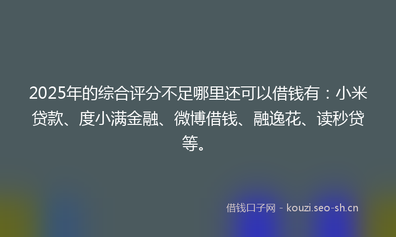 2025年的综合评分不足哪里还可以借钱有：小米贷款、度小满金融、微博借钱、融逸花、读秒贷等。