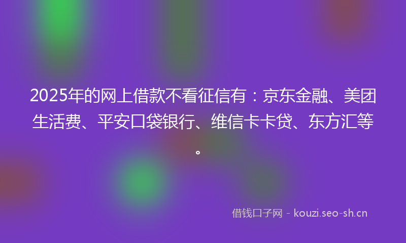 2025年的网上借款不看征信有：京东金融、美团生活费、平安口袋银行、维信卡卡贷、东方汇等。