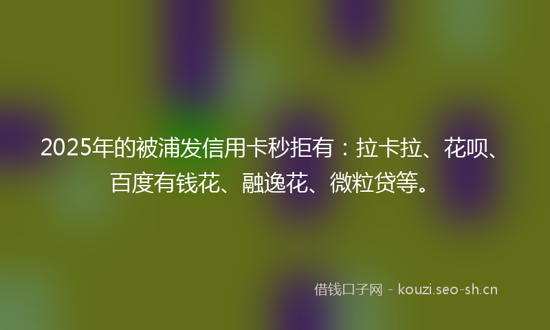 2025年的被浦发信用卡秒拒有：拉卡拉、花呗、百度有钱花、融逸花、微粒贷等。