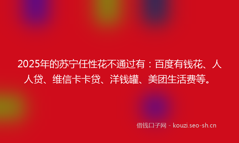 2025年的苏宁任性花不通过有：百度有钱花、人人贷、维信卡卡贷、洋钱罐、美团生活费等。
