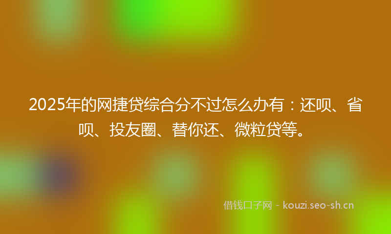 2025年的网捷贷综合分不过怎么办有：还呗、省呗、投友圈、替你还、微粒贷等。