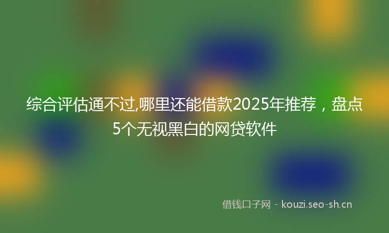 综合评估通不过,哪里还能借款2025年推荐，盘点5个无视黑白的网贷软件