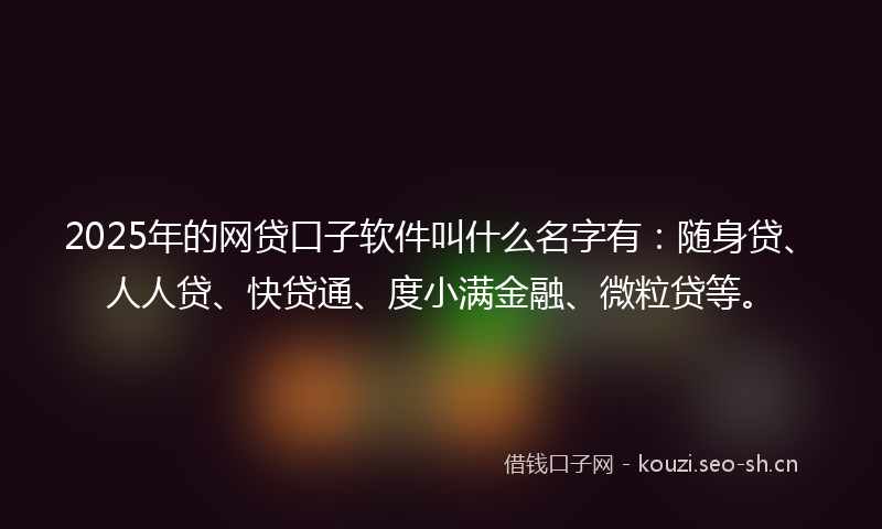 2025年的网贷口子软件叫什么名字有：随身贷、人人贷、快贷通、度小满金融、微粒贷等。