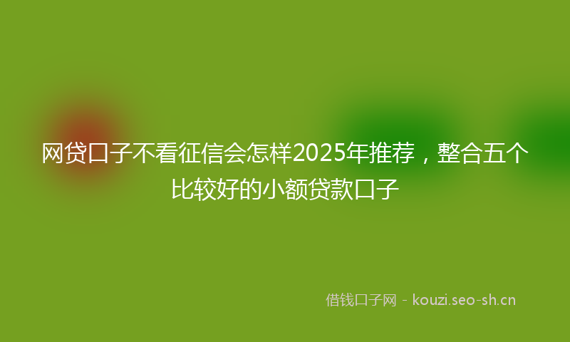 网贷口子不看征信会怎样2025年推荐，整合五个比较好的小额贷款口子