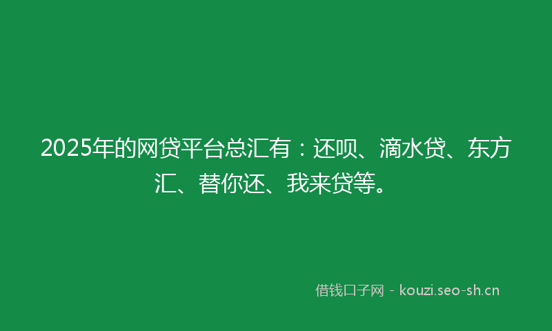 2025年的网贷平台总汇有：还呗、滴水贷、东方汇、替你还、我来贷等。