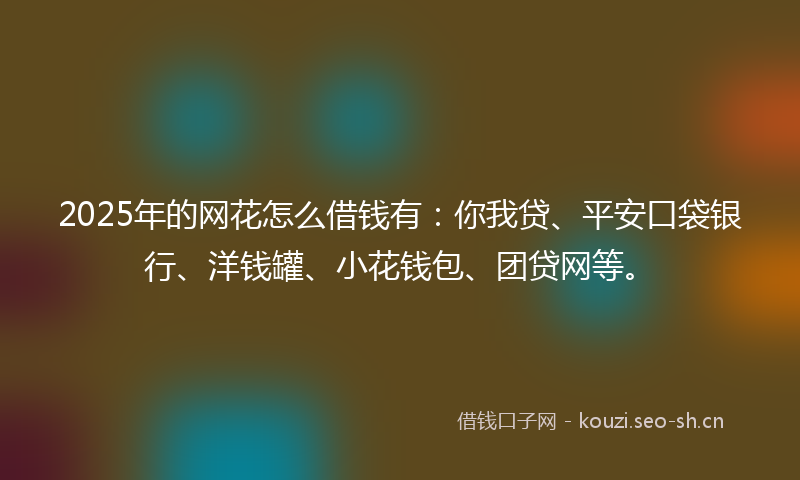2025年的网花怎么借钱有：你我贷、平安口袋银行、洋钱罐、小花钱包、团贷网等。