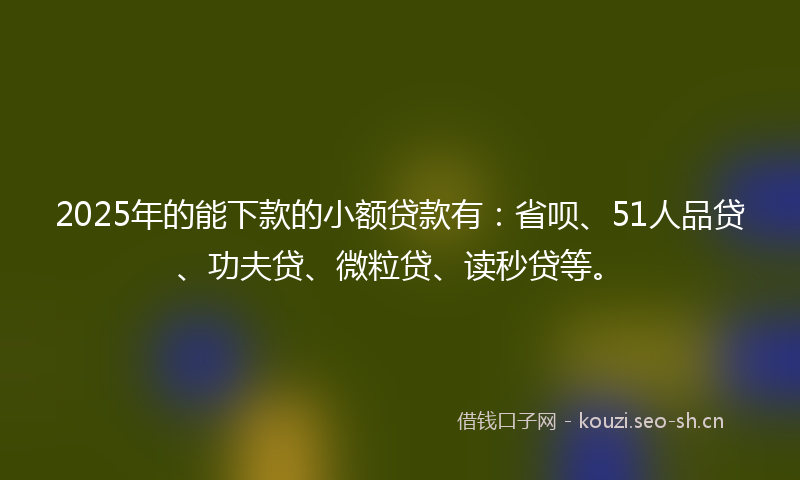 2025年的能下款的小额贷款有：省呗、51人品贷、功夫贷、微粒贷、读秒贷等。