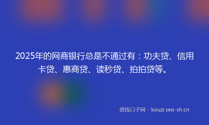 2025年的网商银行总是不通过有：功夫贷、信用卡贷、惠商贷、读秒贷、拍拍贷等。