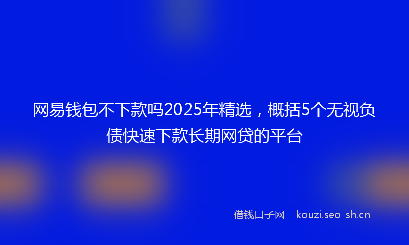 网易钱包不下款吗2025年精选，概括5个无视负债快速下款长期网贷的平台
