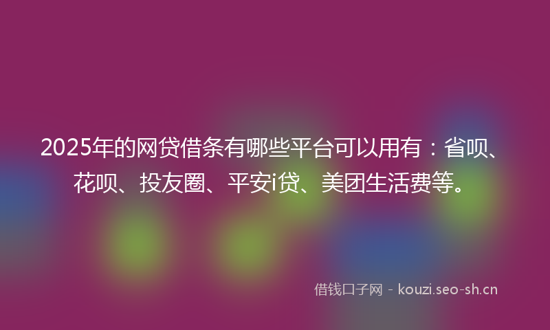 2025年的网贷借条有哪些平台可以用有：省呗、花呗、投友圈、平安i贷、美团生活费等。