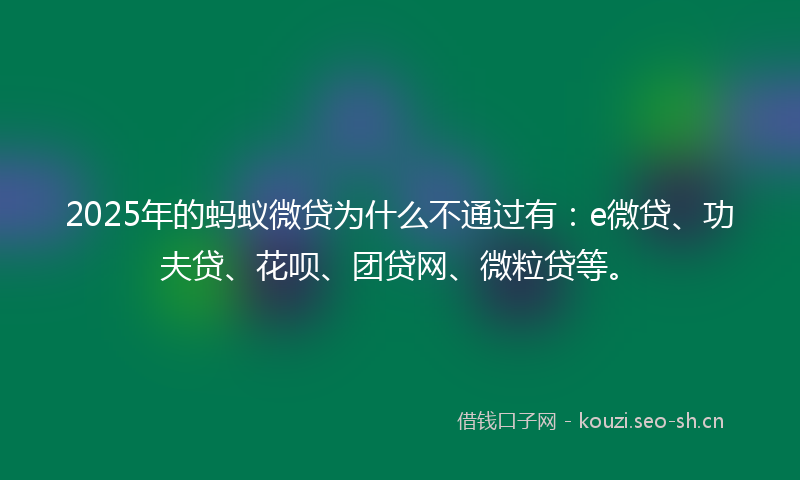 2025年的蚂蚁微贷为什么不通过有：e微贷、功夫贷、花呗、团贷网、微粒贷等。