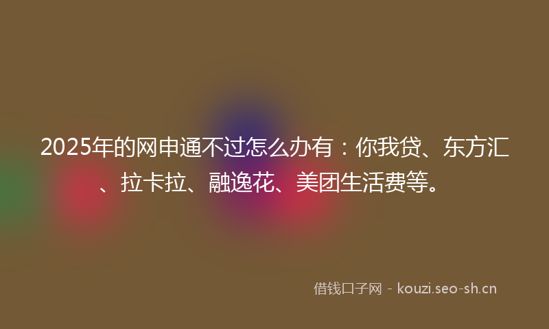 2025年的网申通不过怎么办有：你我贷、东方汇、拉卡拉、融逸花、美团生活费等。