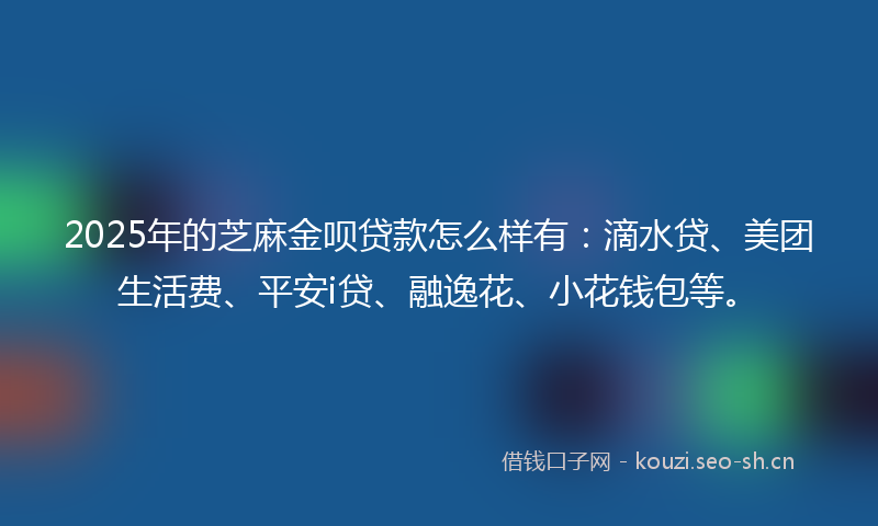 2025年的芝麻金呗贷款怎么样有：滴水贷、美团生活费、平安i贷、融逸花、小花钱包等。