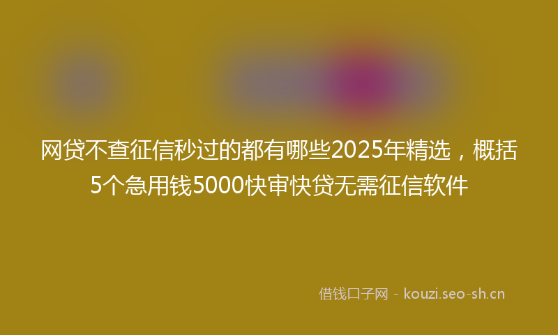 网贷不查征信秒过的都有哪些2025年精选，概括5个急用钱5000快审快贷无需征信软件