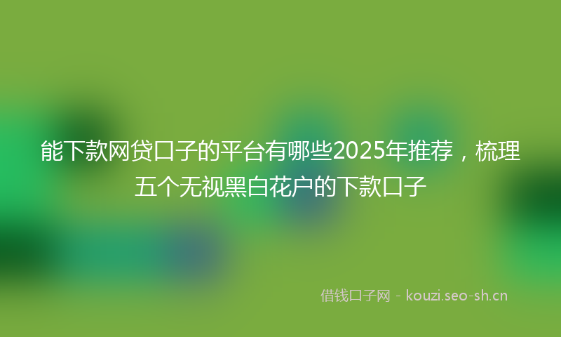 能下款网贷口子的平台有哪些2025年推荐，梳理五个无视黑白花户的下款口子