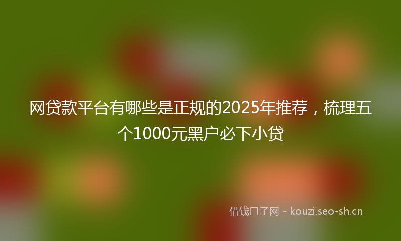 网贷款平台有哪些是正规的2025年推荐，梳理五个1000元黑户必下小贷