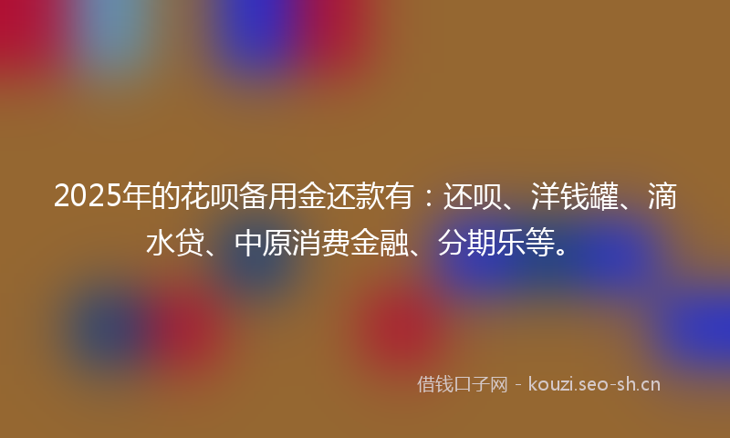 2025年的花呗备用金还款有：还呗、洋钱罐、滴水贷、中原消费金融、分期乐等。