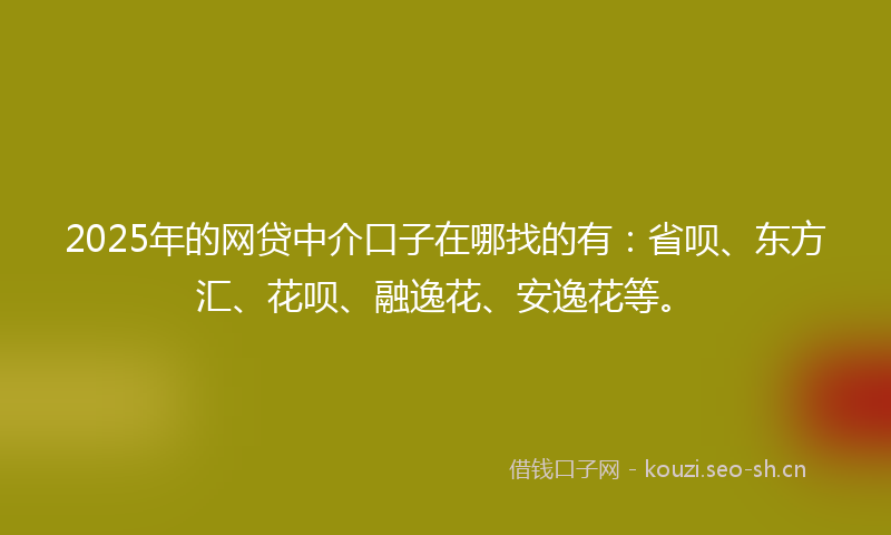 2025年的网贷中介口子在哪找的有：省呗、东方汇、花呗、融逸花、安逸花等。