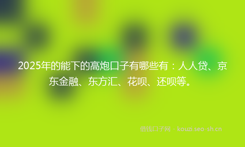 2025年的能下的高炮口子有哪些有：人人贷、京东金融、东方汇、花呗、还呗等。