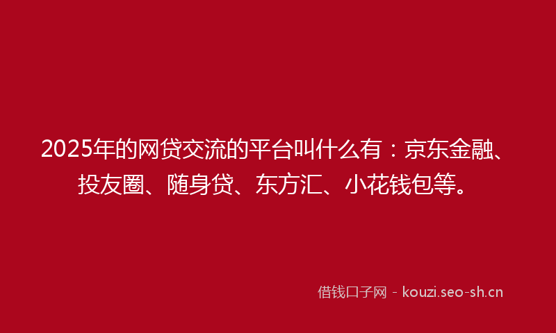 2025年的网贷交流的平台叫什么有：京东金融、投友圈、随身贷、东方汇、小花钱包等。