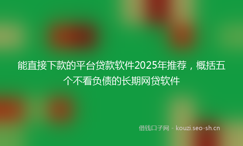 能直接下款的平台贷款软件2025年推荐，概括五个不看负债的长期网贷软件