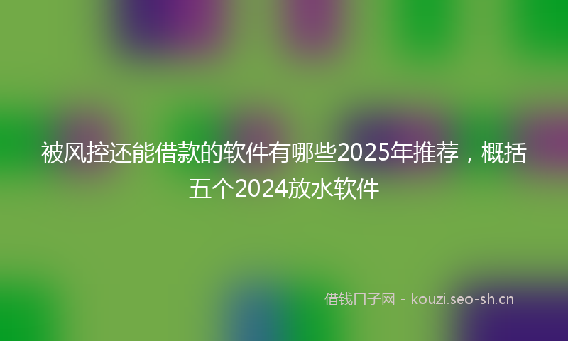 被风控还能借款的软件有哪些2025年推荐，概括五个2024放水软件