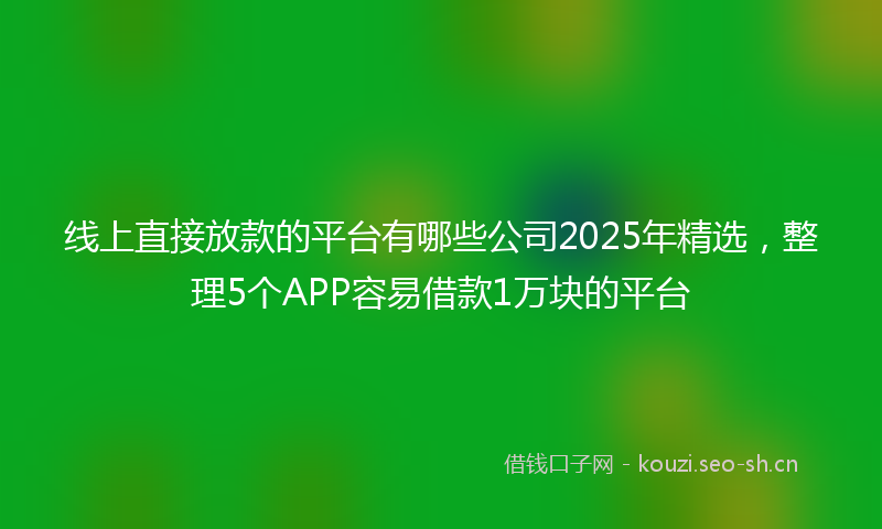 线上直接放款的平台有哪些公司2025年精选，整理5个APP容易借款1万块的平台