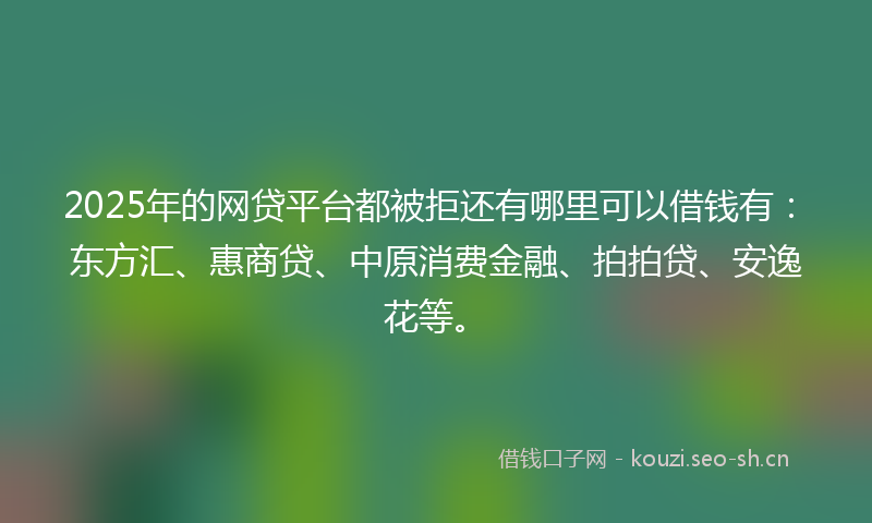 2025年的网贷平台都被拒还有哪里可以借钱有：东方汇、惠商贷、中原消费金融、拍拍贷、安逸花等。