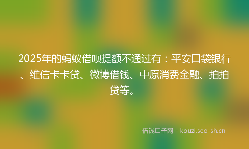 2025年的蚂蚁借呗提额不通过有：平安口袋银行、维信卡卡贷、微博借钱、中原消费金融、拍拍贷等。