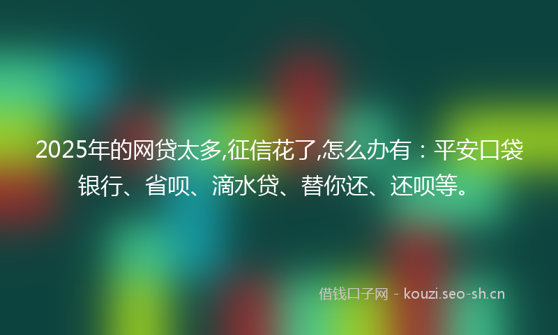 2025年的网贷太多,征信花了,怎么办有：平安口袋银行、省呗、滴水贷、替你还、还呗等。
