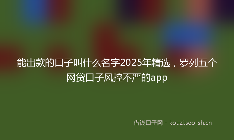 能出款的口子叫什么名字2025年精选，罗列五个网贷口子风控不严的app