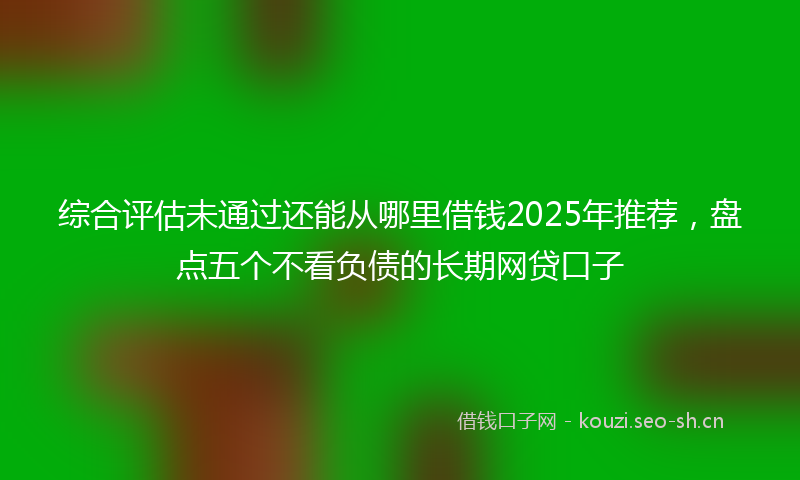 综合评估未通过还能从哪里借钱2025年推荐，盘点五个不看负债的长期网贷口子