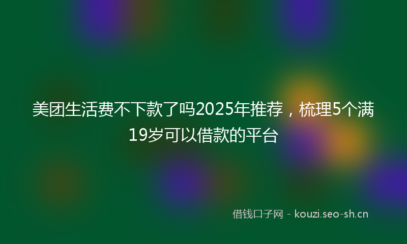 美团生活费不下款了吗2025年推荐，梳理5个满19岁可以借款的平台